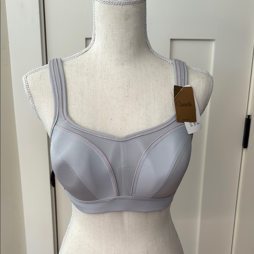 NWT Chantelle Gray Full Coverage Bra with Molded Cups